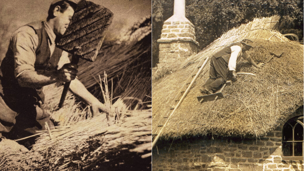 Nádverő és sulyok